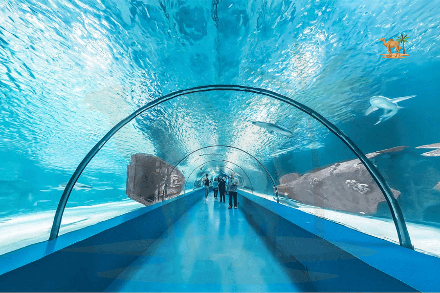 Antalya Aquarium Day Trip